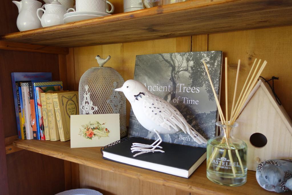 Sparrow Sintra Nest Dış mekan fotoğraf